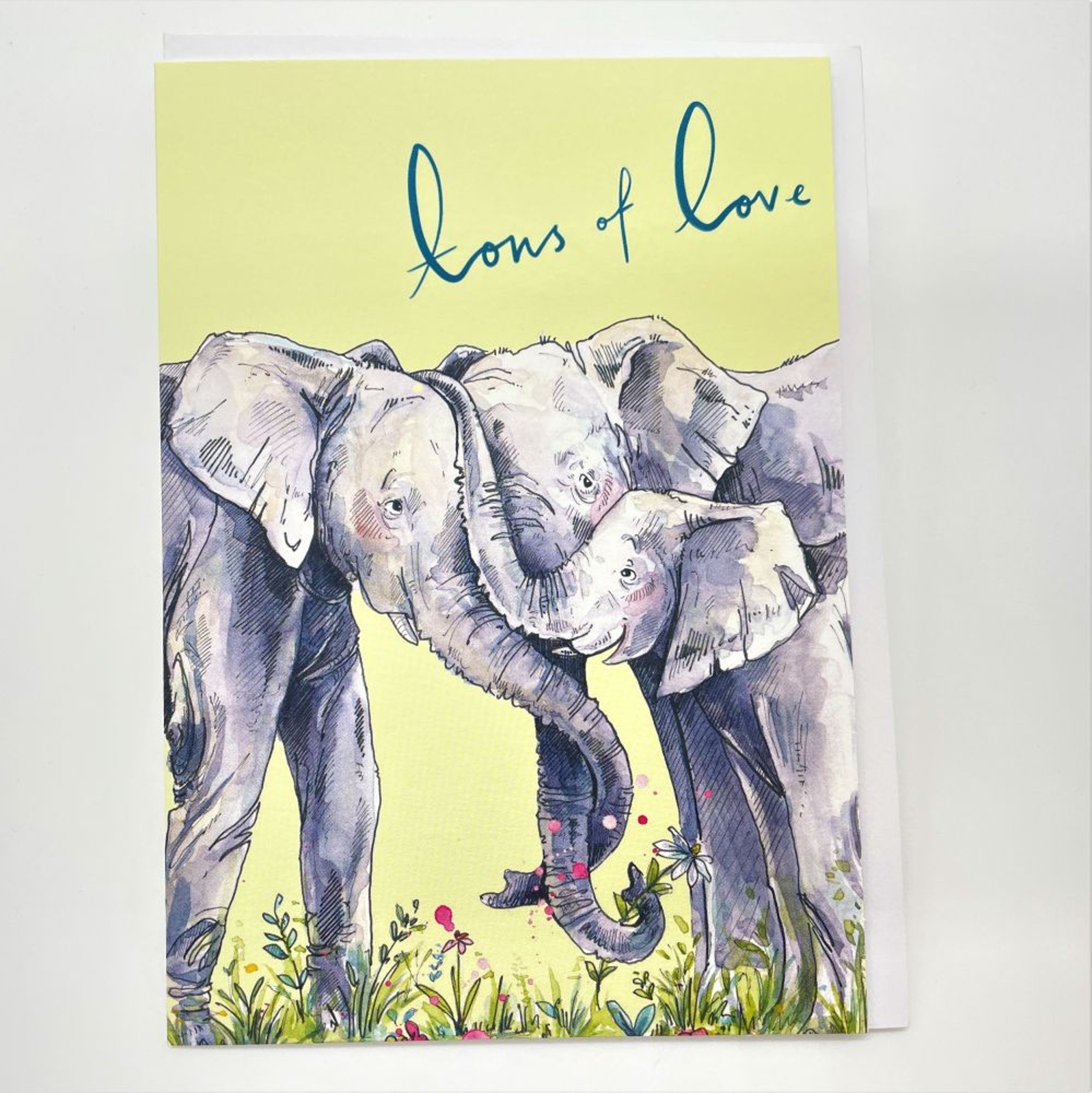 Tons of love elephants - Whale and Dolphin Conservation Shop